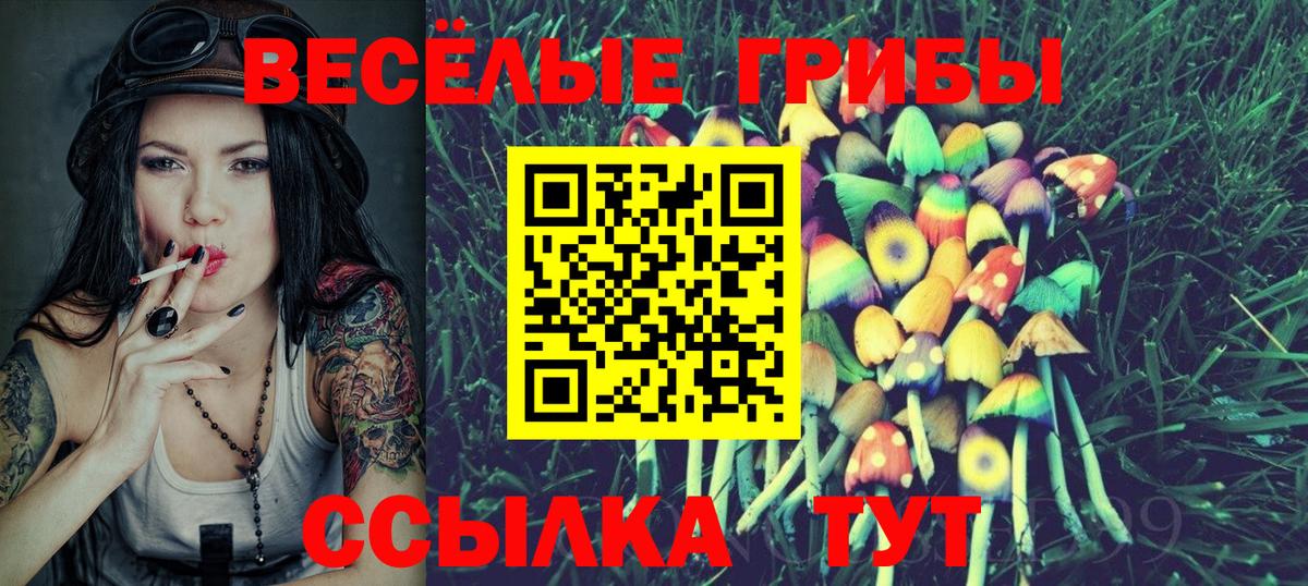 Псилоцибиновые грибы Magic Shrooms Чапаевск