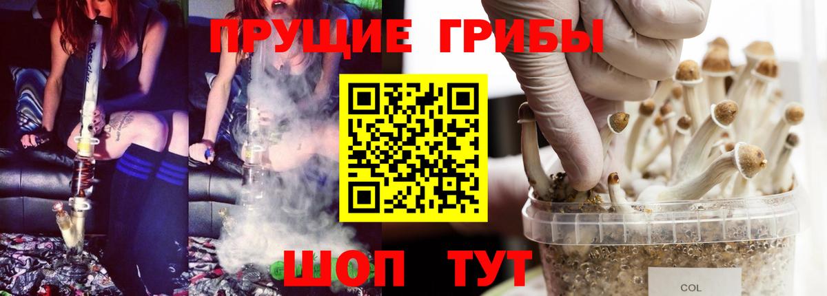 Галлюциногенные грибы ЛСД  Галлюциногенные грибы GOLDEN TEACHER  Чапаевск  Вход с VPN 